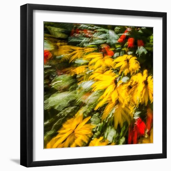 Floral Delight-Janet Slater-Framed Photographic Print