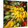 Floral Delight-Janet Slater-Mounted Photographic Print