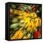 Floral Delight-Janet Slater-Framed Stretched Canvas