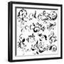 Floral Design Elements-onfocus-Framed Art Print