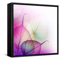 Floral Design-Subbotina Anna-Framed Stretched Canvas