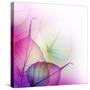 Floral Design-Subbotina Anna-Stretched Canvas