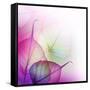 Floral Design-Subbotina Anna-Framed Stretched Canvas