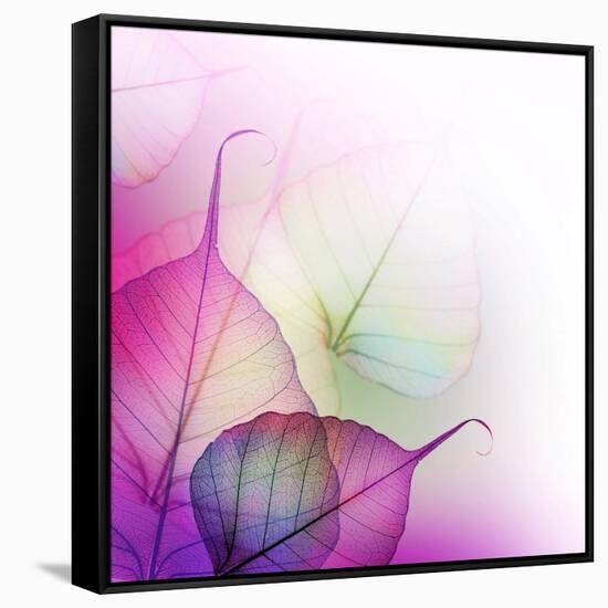 Floral Design-Subbotina Anna-Framed Stretched Canvas