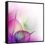 Floral Design-Subbotina Anna-Framed Stretched Canvas