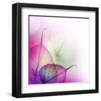 Floral Design-Subbotina Anna-Framed Art Print