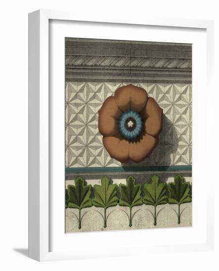 Floral Detail II-Vision Studio-Framed Art Print