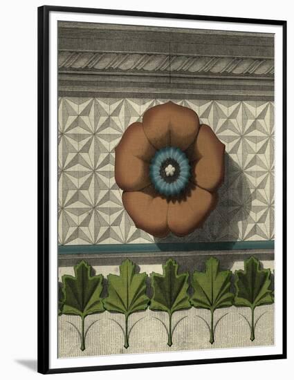 Floral Detail II-Vision Studio-Framed Premium Giclee Print