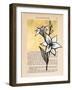 Floral Diary I-Vanna Lam-Framed Art Print