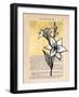 Floral Diary I-Vanna Lam-Framed Art Print