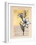 Floral Diary I-Vanna Lam-Framed Art Print