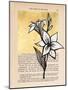Floral Diary I-Vanna Lam-Mounted Art Print