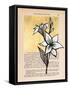 Floral Diary I-Vanna Lam-Framed Stretched Canvas