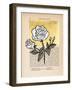 Floral Diary II-Vanna Lam-Framed Art Print