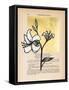 Floral Diary IV-Vanna Lam-Framed Stretched Canvas