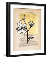 Floral Diary IV-Vanna Lam-Framed Art Print