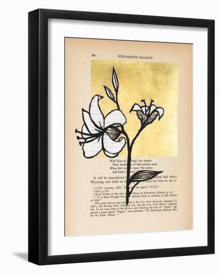 Floral Diary IV-Vanna Lam-Framed Art Print