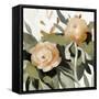 Floral Disarray II-Emma Scarvey-Framed Stretched Canvas