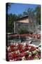 Floral Display at Bardolino, Lake Garda, Italian Lakes, Lombardy, Italy, Europe-James Emmerson-Stretched Canvas