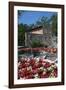 Floral Display at Bardolino, Lake Garda, Italian Lakes, Lombardy, Italy, Europe-James Emmerson-Framed Photographic Print