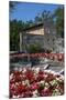 Floral Display at Bardolino, Lake Garda, Italian Lakes, Lombardy, Italy, Europe-James Emmerson-Mounted Photographic Print