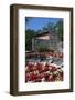 Floral Display at Bardolino, Lake Garda, Italian Lakes, Lombardy, Italy, Europe-James Emmerson-Framed Photographic Print