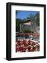 Floral Display at Bardolino, Lake Garda, Italian Lakes, Lombardy, Italy, Europe-James Emmerson-Framed Photographic Print