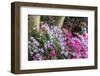 Floral Display, Crystal Springs Rhododendron Garden, Oregon, USA-Chuck Haney-Framed Photographic Print