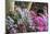 Floral Display, Crystal Springs Rhododendron Garden, Oregon, USA-Chuck Haney-Mounted Photographic Print