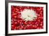 Floral Display in the Lobby of the Dusit Thanis Hotel Dubai, Uae-Michael DeFreitas-Framed Photographic Print