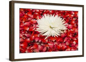 Floral Display in the Lobby of the Dusit Thanis Hotel Dubai, Uae-Michael DeFreitas-Framed Photographic Print