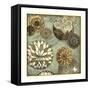 Floral Dream II-Megan Meagher-Framed Stretched Canvas