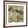 Floral Dream II-Megan Meagher-Framed Art Print