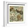 Floral Dream II-Megan Meagher-Framed Art Print
