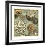 Floral Dream II-Megan Meagher-Framed Art Print