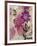 Floral Dreams 2-Matina Theodosiou-Framed Art Print