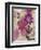 Floral Dreams 2-Matina Theodosiou-Framed Art Print