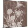 Floral Dusk 2-Bee Sturgis-Mounted Art Print
