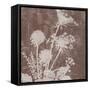 Floral Dusk 2-Bee Sturgis-Framed Stretched Canvas