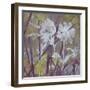 Floral Dusk II-Paul Duncan-Framed Giclee Print