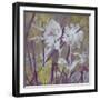 Floral Dusk II-Paul Duncan-Framed Giclee Print