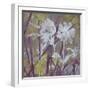 Floral Dusk II-Paul Duncan-Framed Giclee Print