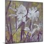 Floral Dusk II-Paul Duncan-Mounted Giclee Print