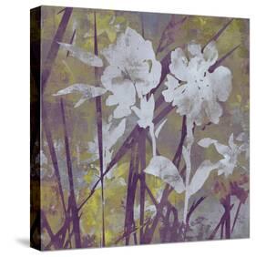 Floral Dusk II-Paul Duncan-Stretched Canvas