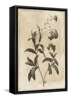 Floral Earthtone Four-Jace Grey-Framed Stretched Canvas