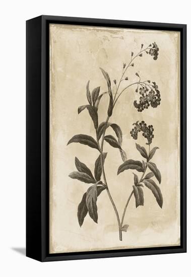 Floral Earthtone Four-Jace Grey-Framed Stretched Canvas