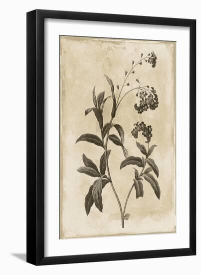 Floral Earthtone Four-Jace Grey-Framed Art Print