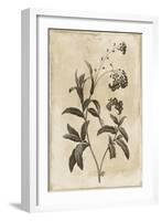 Floral Earthtone Four-Jace Grey-Framed Art Print