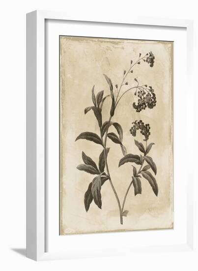 Floral Earthtone Four-Jace Grey-Framed Art Print