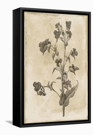 Floral Earthtone Three-Jace Grey-Framed Stretched Canvas